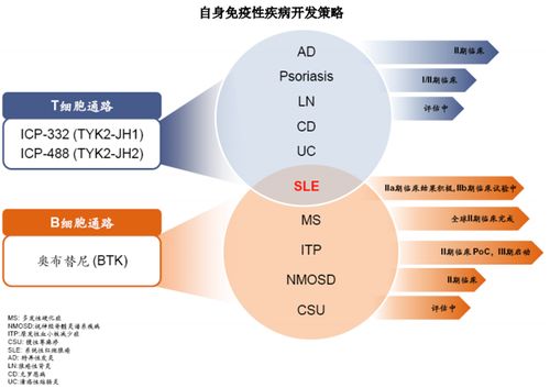 直擊業(yè)績(jī)說(shuō)明會(huì) 摘 b 之后 現(xiàn)金玩家 諾誠(chéng)健華想要成為生物制藥公司